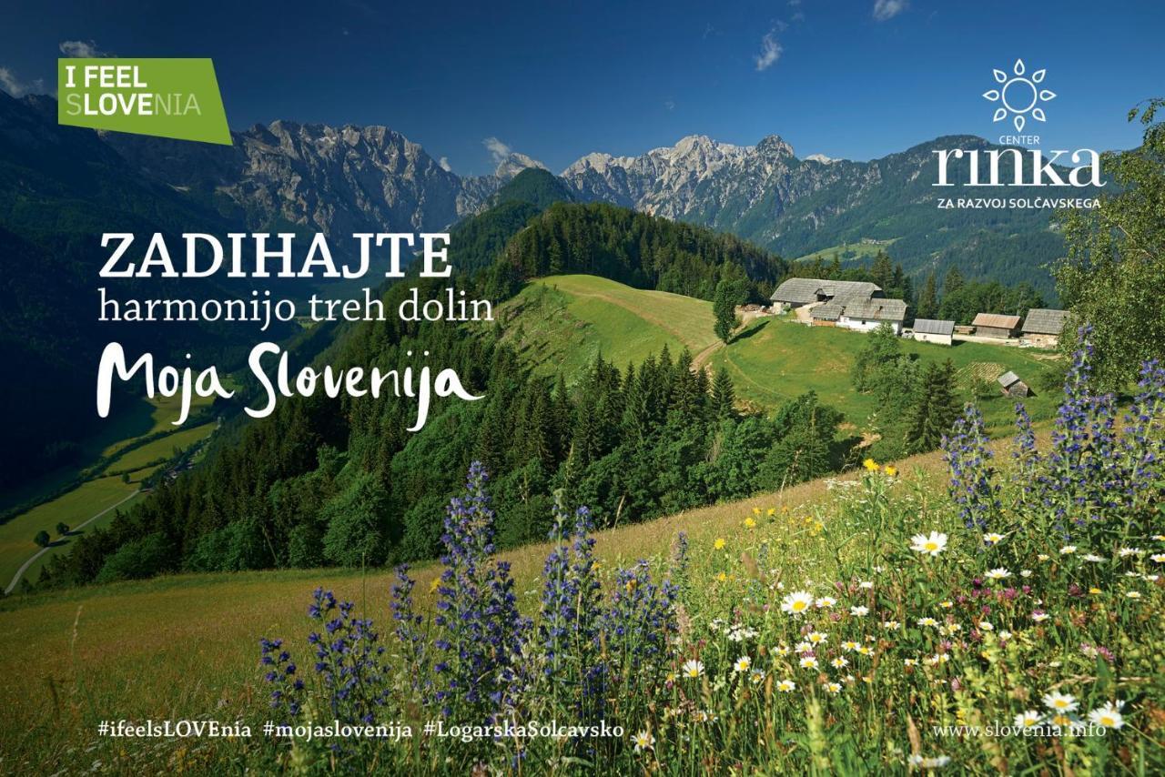 Boutique Rooms Pri Rogovilcu Solcava Ngoại thất bức ảnh